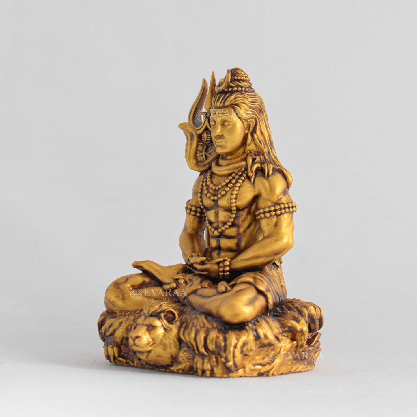 Shiv Dhyaanam