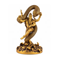 Mystical Shiva