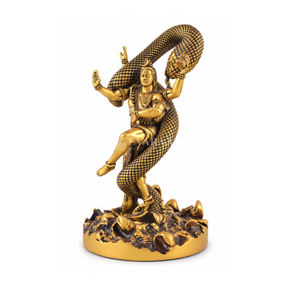 Mystical Shiva