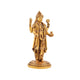 Lord Dhanvantari Idol
