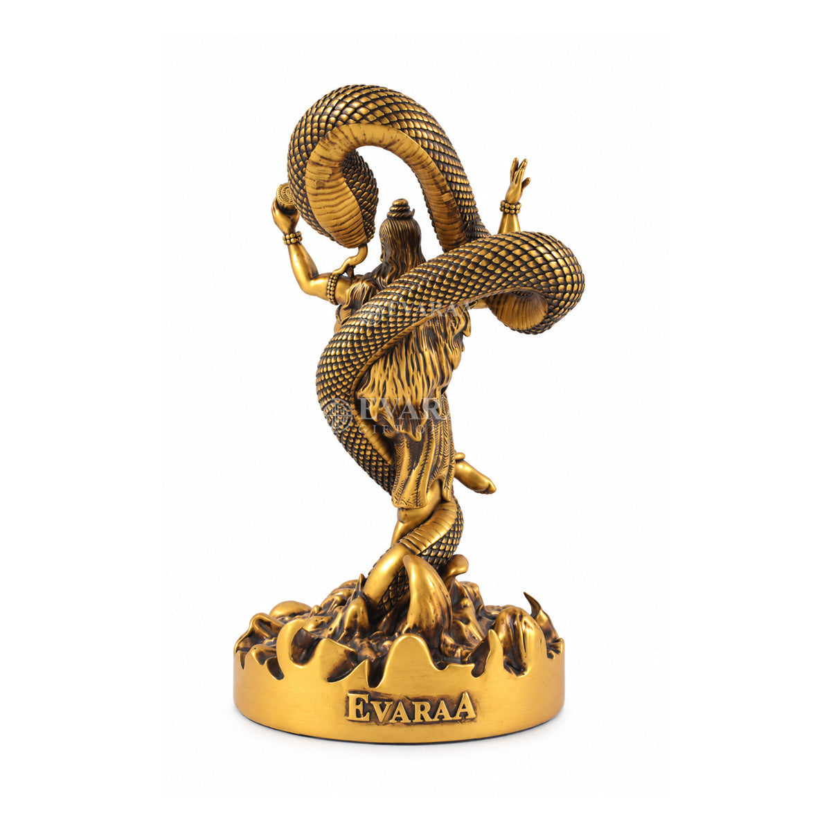 Mystical Shiva