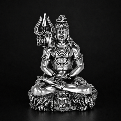 Shiv Dhyaanam Silver Plated