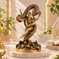 Mystical Shiva