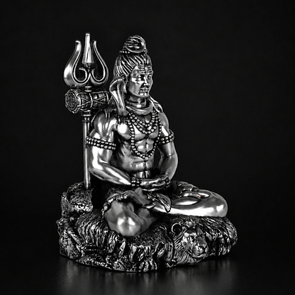 Shiv Dhyaanam Silver Plated