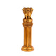 Ashoka Pillar