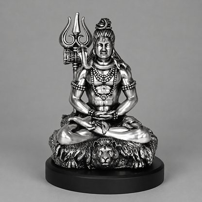Shiv Dhyaanam Silver Plated