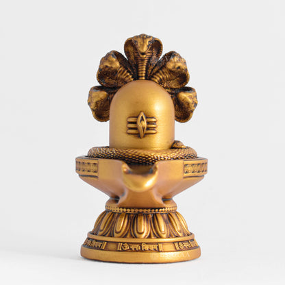 ShivaLingam
