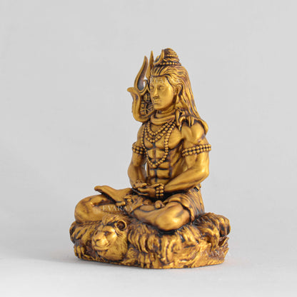 Shiv Dhyaanam God Idol