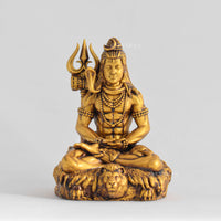 Shiv Dhyaanam God Idol