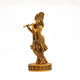 Krishna (Murli-dhar)