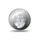 Front view of Gayatri Mata Silver Coin
