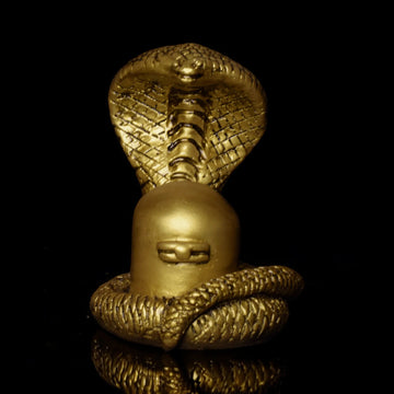 Shivalingam - evaraa