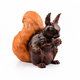 Squirrel Statue Decorative Piece for Home Decor
